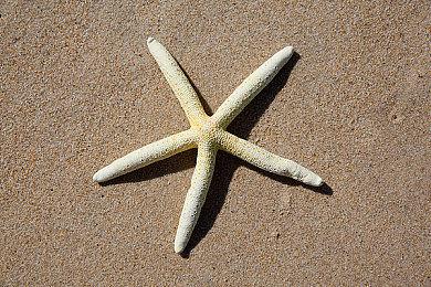 改头换面 《巫师3》HD重制次世代项目新版前瞻视频